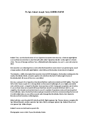 A preview of a PDF biography for Terry, Hubert Joseph